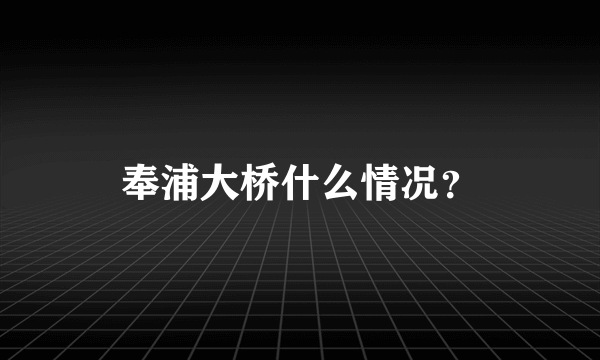 奉浦大桥什么情况？