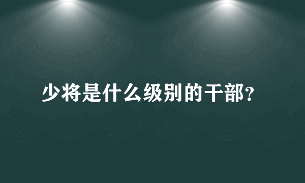 少将是什么级别的干部？