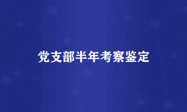 党支部半年考察鉴定