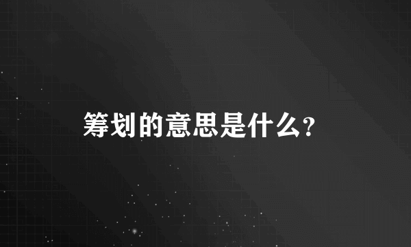 筹划的意思是什么？