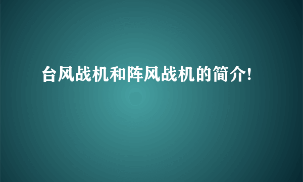 台风战机和阵风战机的简介!