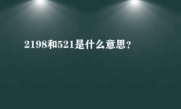 2198和521是什么意思？