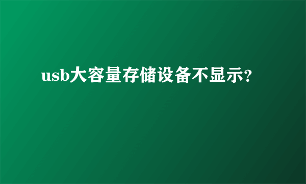 usb大容量存储设备不显示？