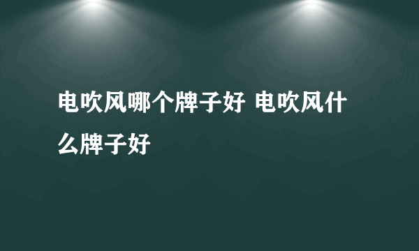 电吹风哪个牌子好 电吹风什么牌子好