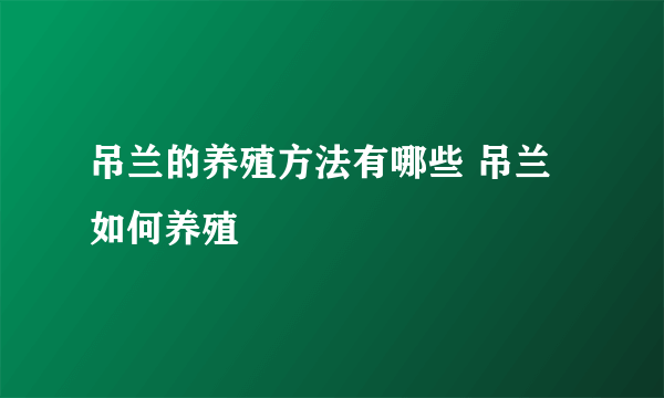 吊兰的养殖方法有哪些 吊兰如何养殖