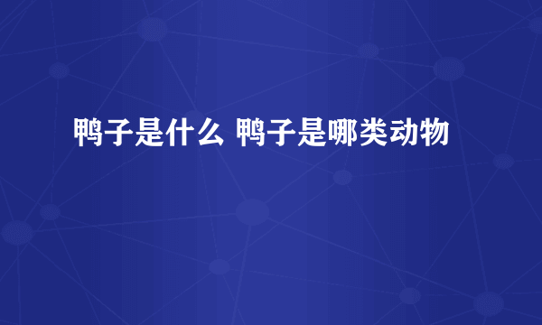 鸭子是什么 鸭子是哪类动物