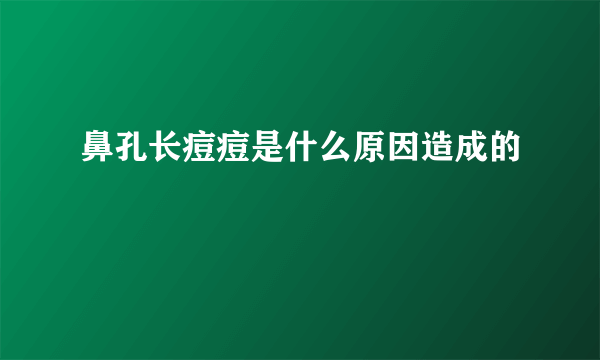 鼻孔长痘痘是什么原因造成的