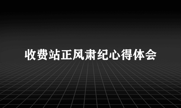 收费站正风肃纪心得体会