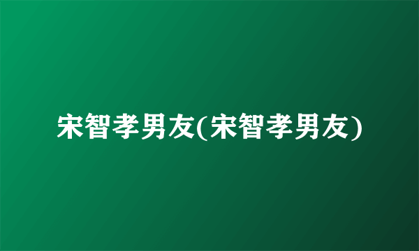 宋智孝男友(宋智孝男友)