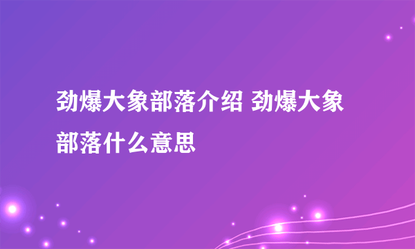 劲爆大象部落介绍 劲爆大象部落什么意思