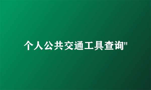 个人公共交通工具查询