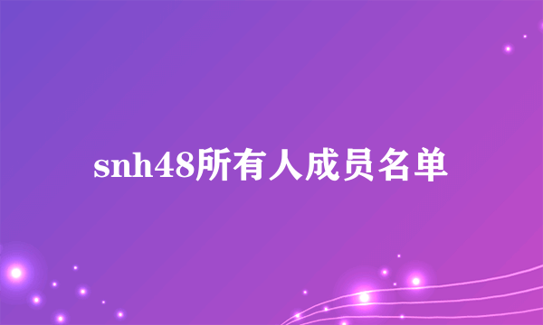 snh48所有人成员名单