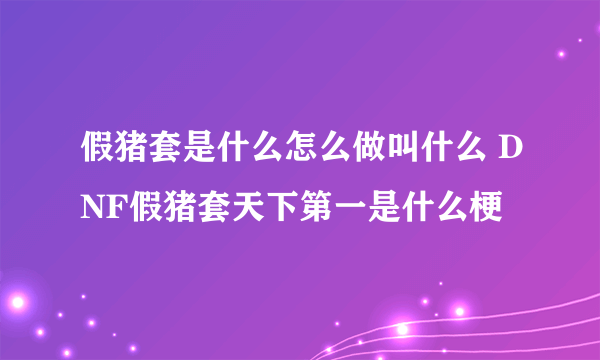 假猪套是什么怎么做叫什么 DNF假猪套天下第一是什么梗