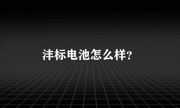 沣标电池怎么样？