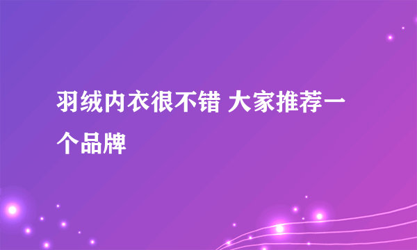 羽绒内衣很不错 大家推荐一个品牌