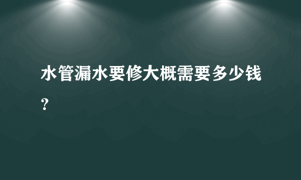 水管漏水要修大概需要多少钱？