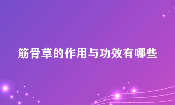 筋骨草的作用与功效有哪些