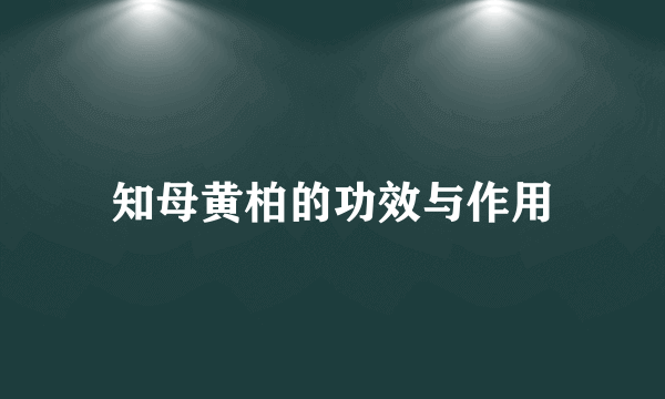 知母黄柏的功效与作用