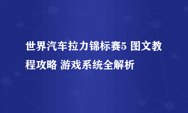 世界汽车拉力锦标赛5 图文教程攻略 游戏系统全解析