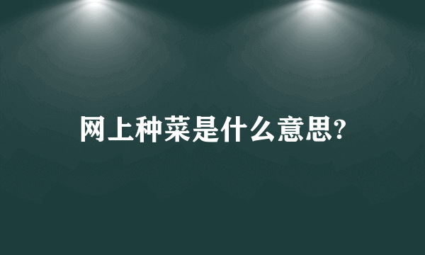 网上种菜是什么意思?