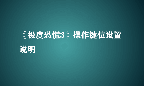 《极度恐慌3》操作键位设置说明