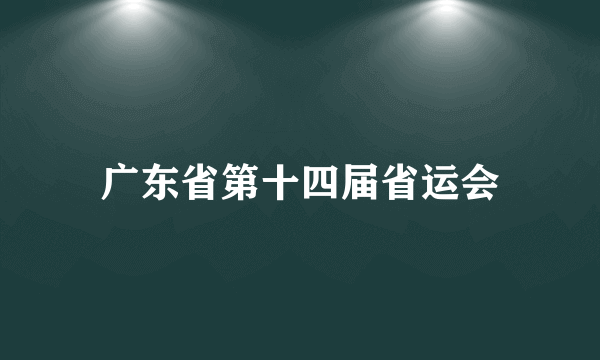 广东省第十四届省运会