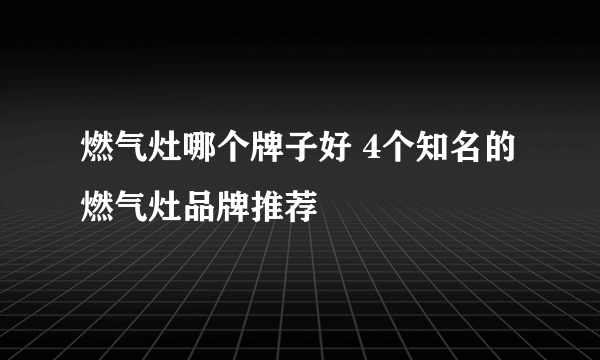 燃气灶哪个牌子好 4个知名的燃气灶品牌推荐