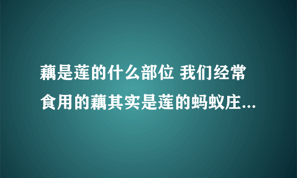 藕是莲的什么部位 我们经常食用的藕其实是莲的蚂蚁庄园7.16