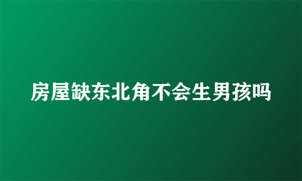 房屋缺东北角不会生男孩吗