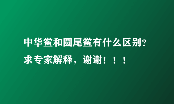 中华鲎和圆尾鲎有什么区别？求专家解释，谢谢！！！