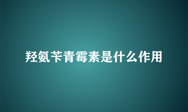 羟氨苄青霉素是什么作用