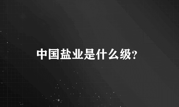 中国盐业是什么级？