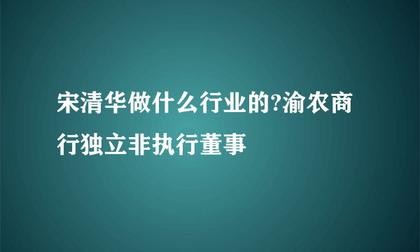 宋清华做什么行业的?渝农商行独立非执行董事