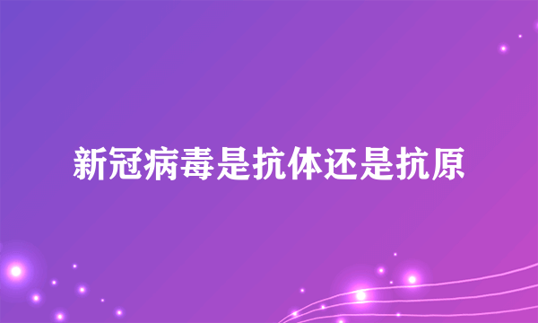 新冠病毒是抗体还是抗原