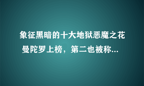 象征黑暗的十大地狱恶魔之花 曼陀罗上榜，第二也被称为“地狱花”