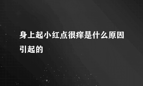 身上起小红点很痒是什么原因引起的