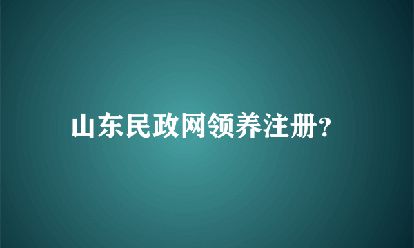 山东民政网领养注册？