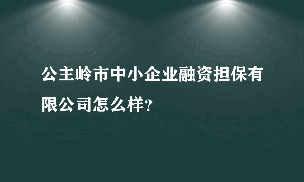 公主岭市中小企业融资担保有限公司怎么样？