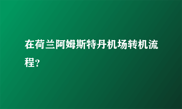 在荷兰阿姆斯特丹机场转机流程？