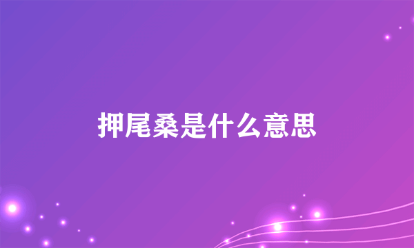 押尾桑是什么意思