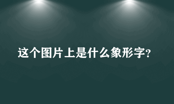 这个图片上是什么象形字？