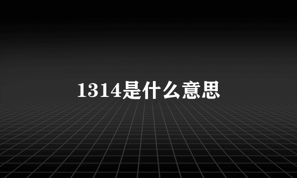 1314是什么意思