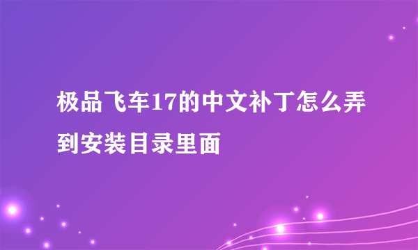 极品飞车17的中文补丁怎么弄到安装目录里面