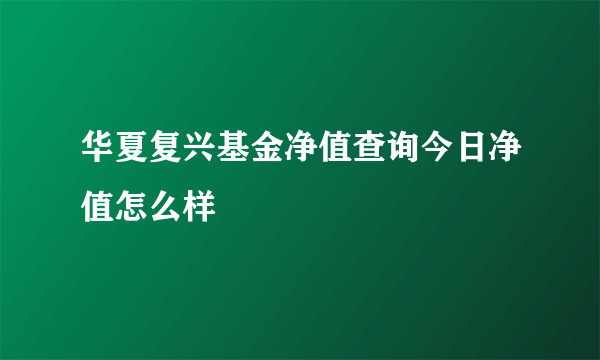 华夏复兴基金净值查询今日净值怎么样