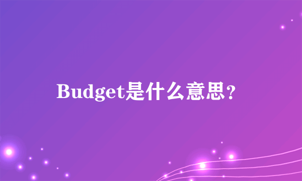 Budget是什么意思？