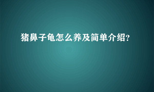 猪鼻子龟怎么养及简单介绍？