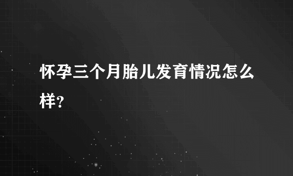 怀孕三个月胎儿发育情况怎么样？