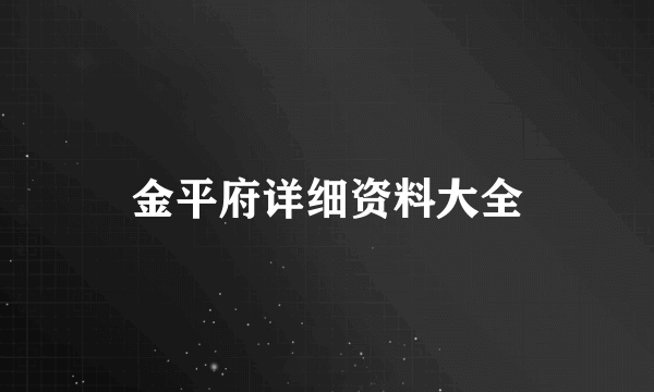 金平府详细资料大全