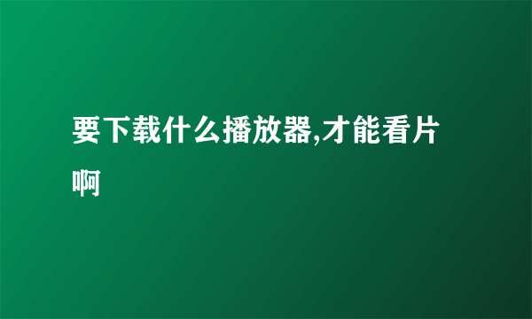 要下载什么播放器,才能看片啊