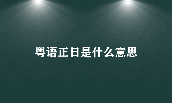 粤语正日是什么意思